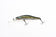 products/zipbaits-orbit-80sp-drzipbaits-918625.jpg