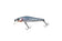 products/zipbaits-rigge-56fzipbaits-851121.jpg