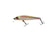products/zipbaits-rigge-56spzipbaits-445207.jpg