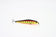 products/zipbaits-rigge-90-fzipbaits-628963.jpg