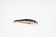 products/zipbaits-rigge-90-fzipbaits-861622.jpg
