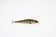 products/zipbaits-rigge-90-spzipbaits-818776.jpg
